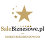 Sale Biznesowe